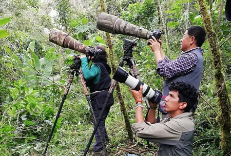 trochas para observatorio
